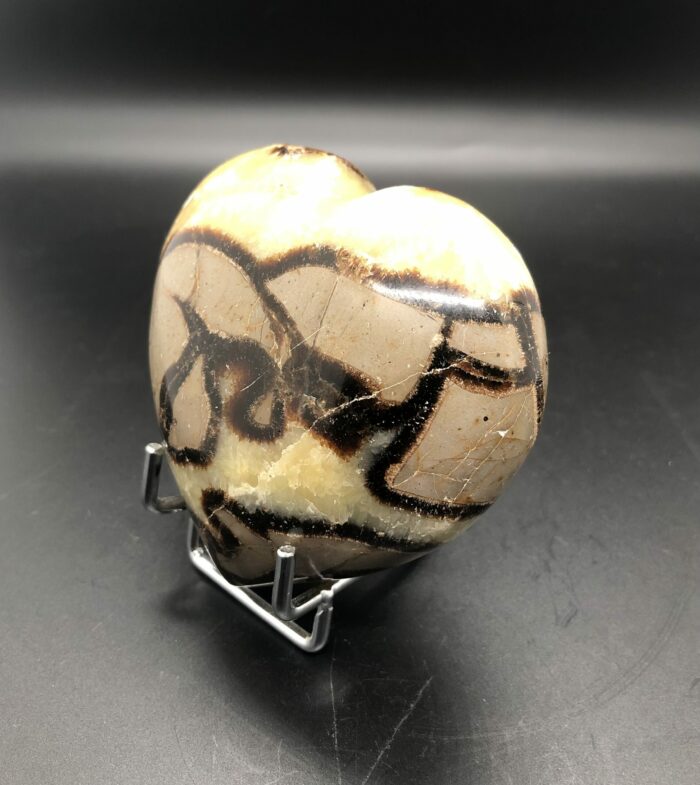 Septaria (coeur) – Image 3