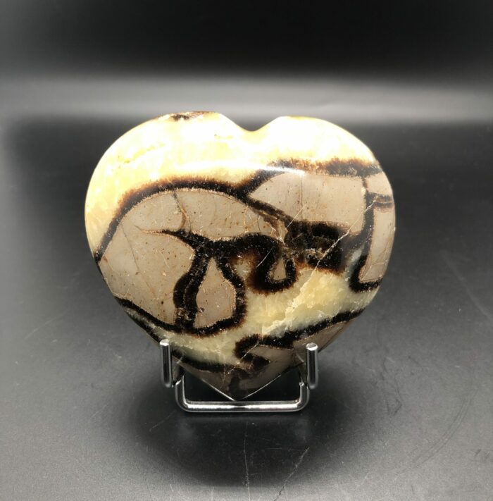 Septaria (coeur)