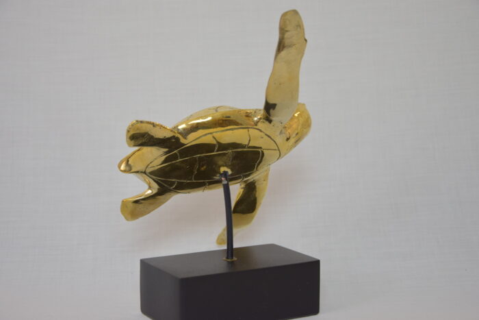 Tortue en Laiton – Image 3