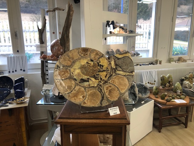 Ammonite fossile polie – Image 6