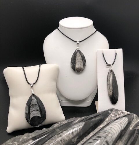 Pendentifs Orthoceras