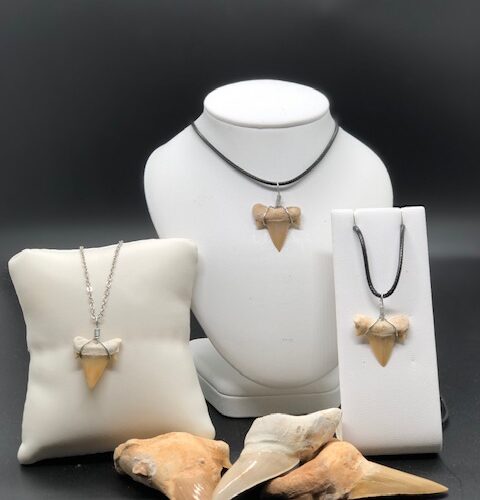 Pendentifs dent de requin