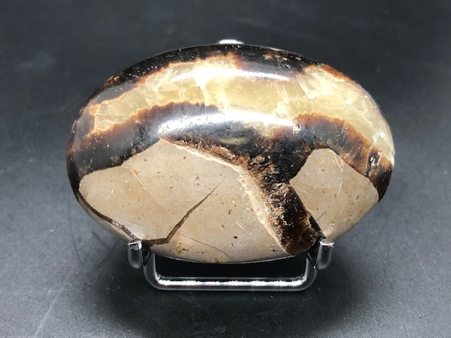 Septaria (galet) Ref 02M – Image 4