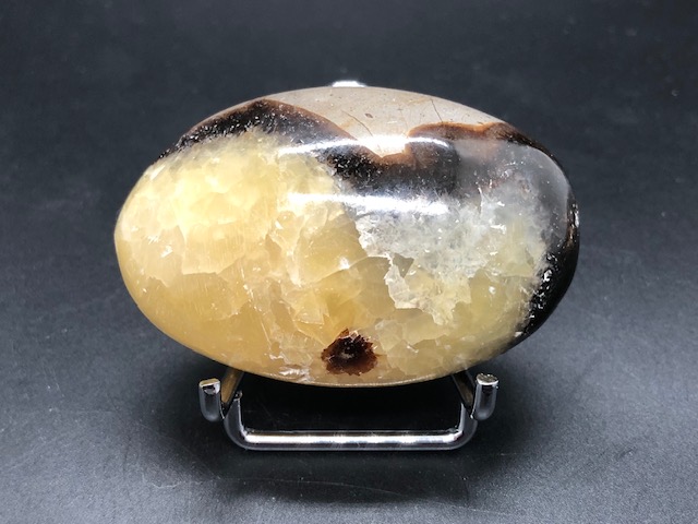 Septaria (galet) Ref 04M – Image 2
